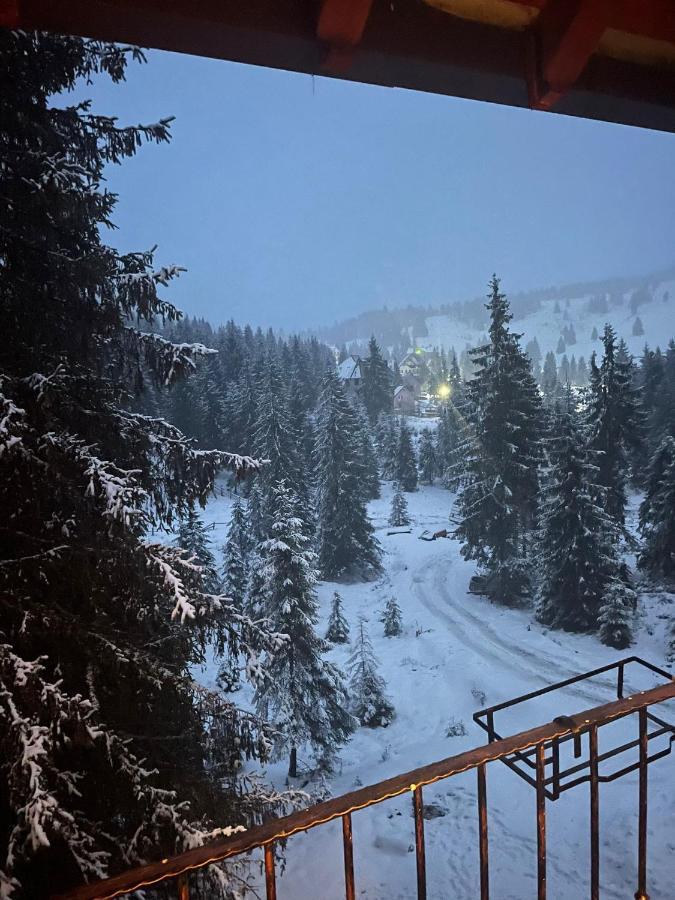 Cabana Miramonte Vartop Arieseni Εξωτερικό φωτογραφία